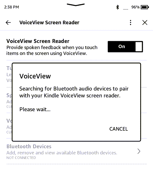 Search Bluetooth Device