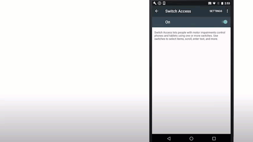 Kindle Fire Switch Access Working
