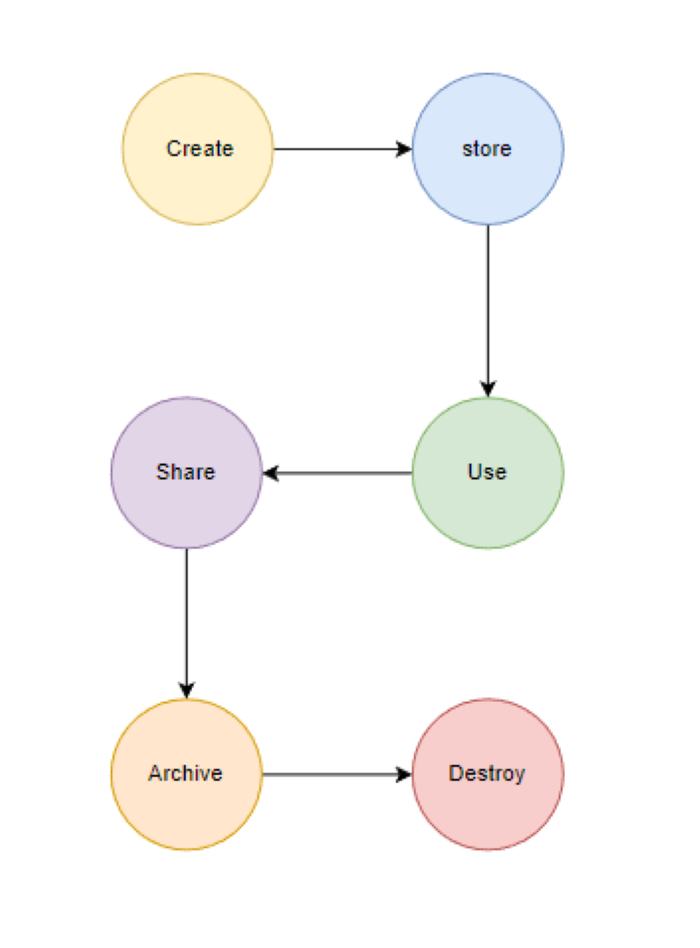 Data Lifecycle